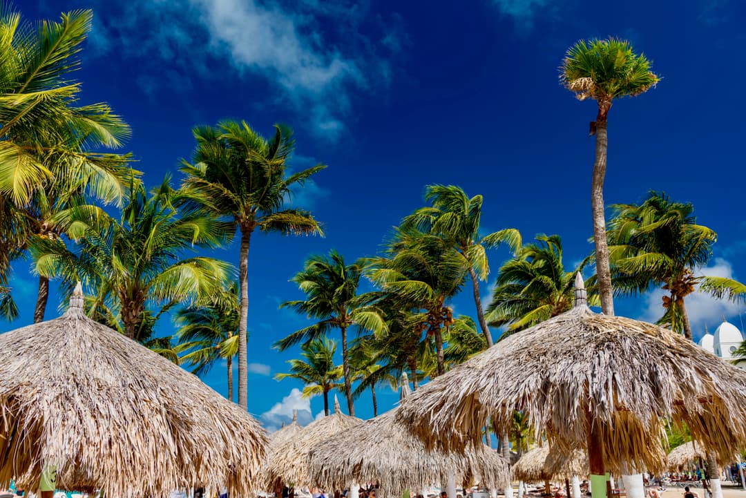 Dominikanska Republika photo 4